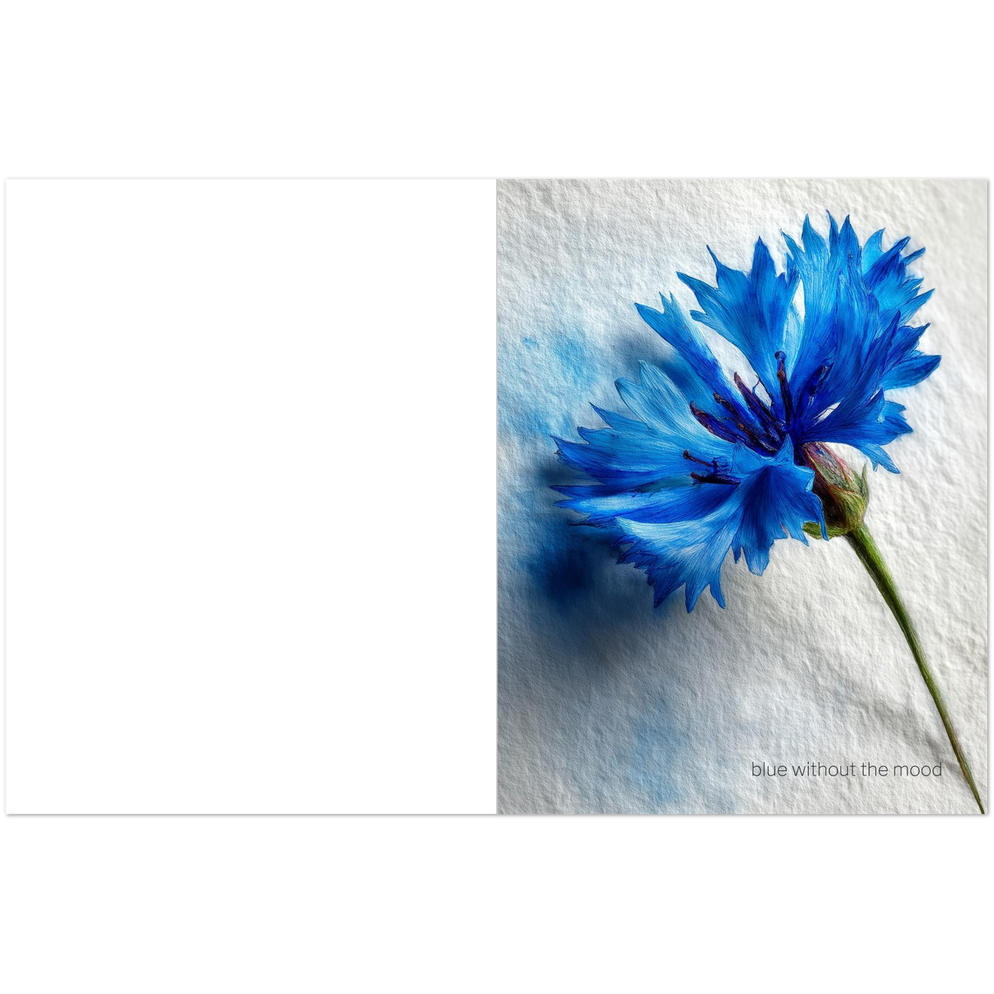 41095220-cc76-4bf9-ad26-6a2c26358cdc